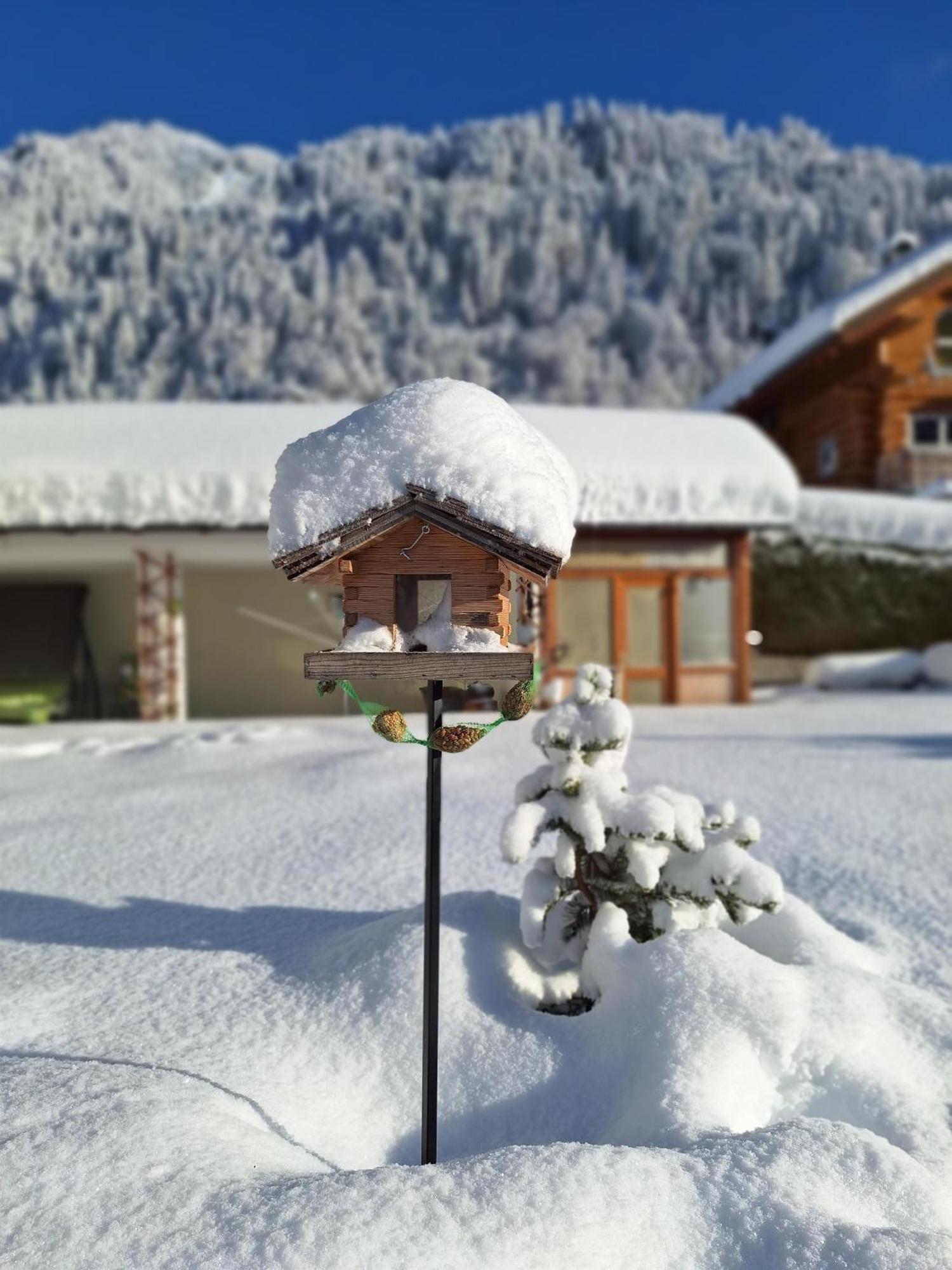 Ferienwohnungen Pollhammer Sankt Gallenkirch Extérieur photo