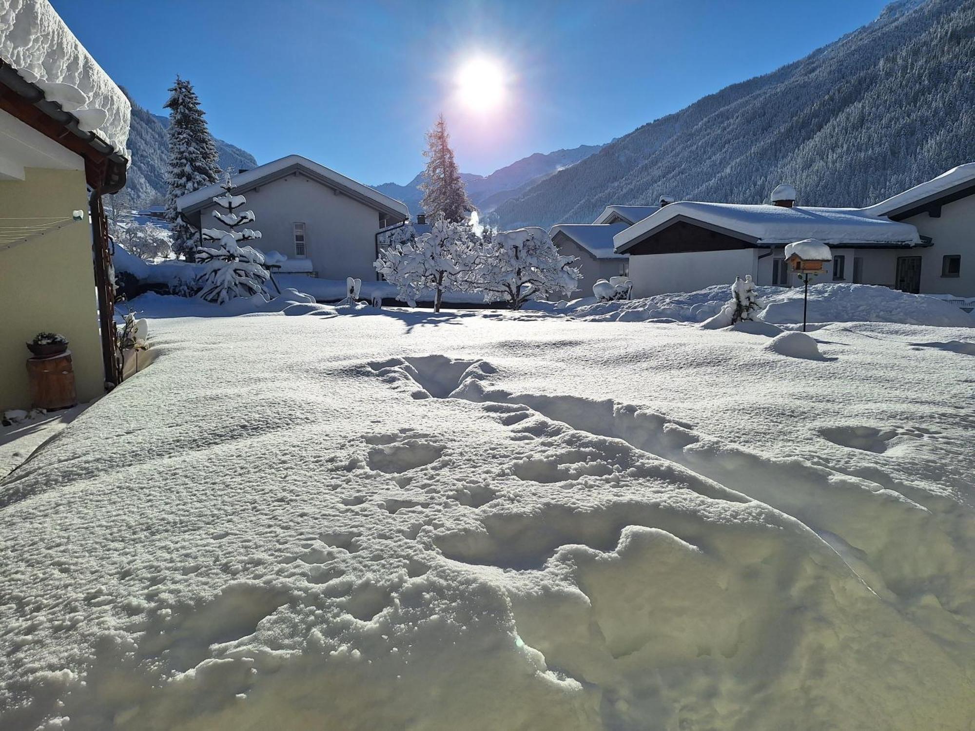 Ferienwohnungen Pollhammer Sankt Gallenkirch Extérieur photo