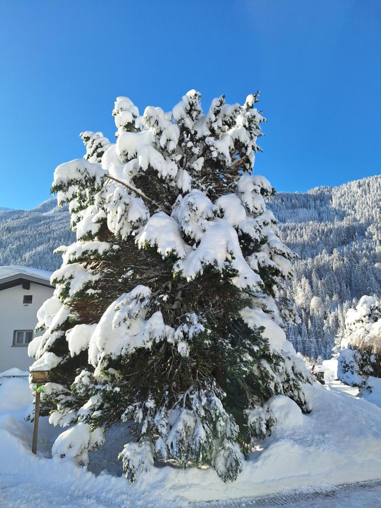 Ferienwohnungen Pollhammer Sankt Gallenkirch Extérieur photo